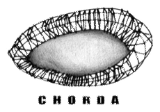 Logo Chorda